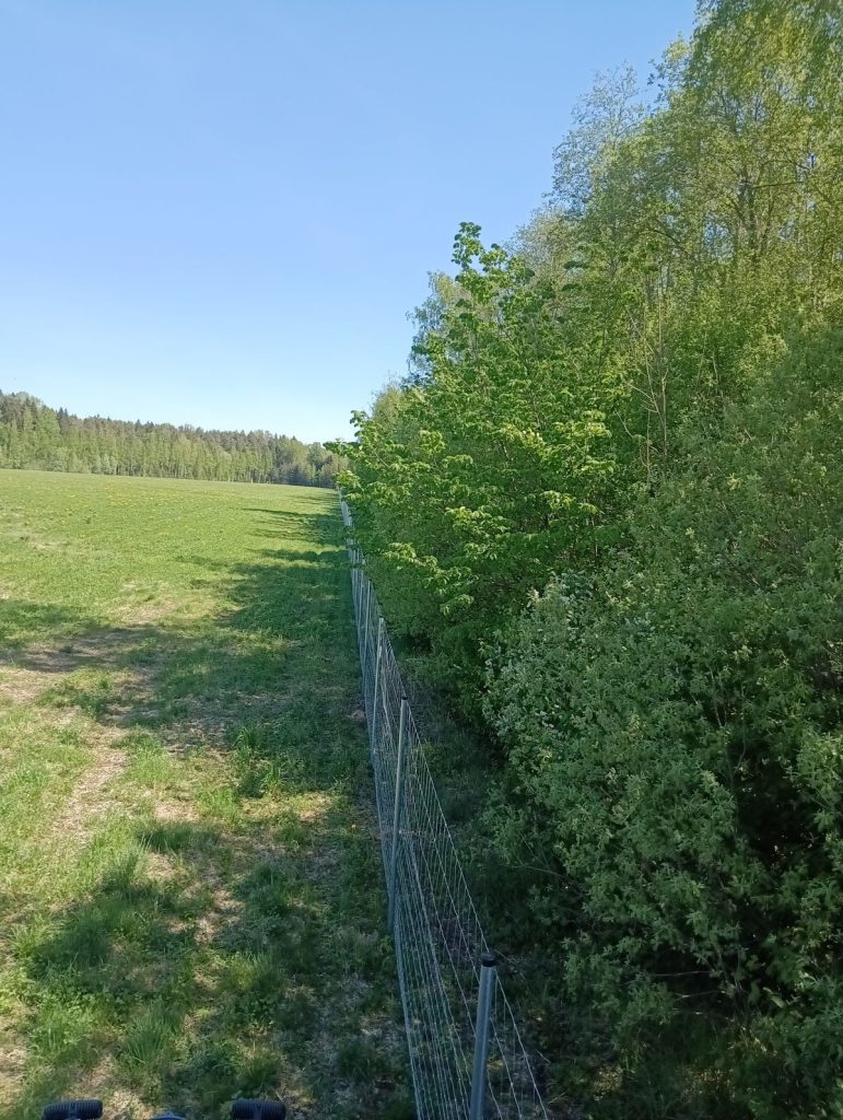 Tehtud tööd